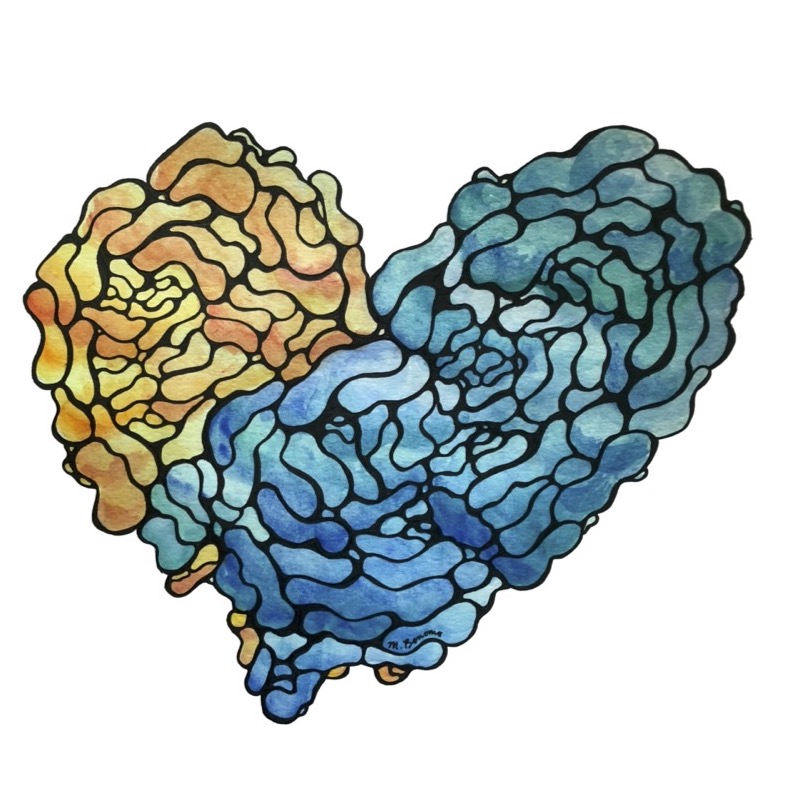 2019-nCoV coronavirus 3CL hydrolase