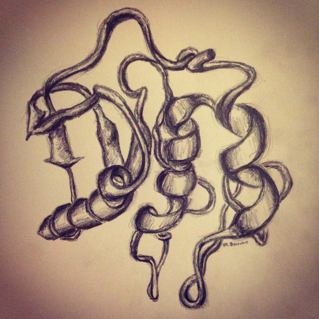 matrix metallopeptidase-9